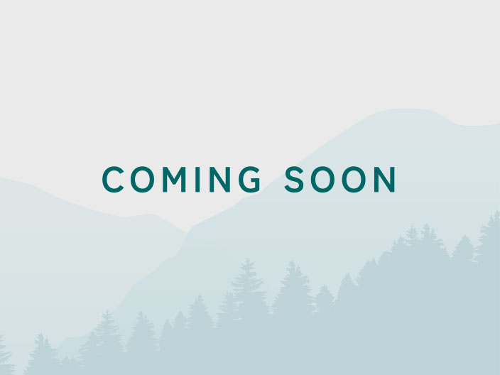 コンテンツタイトル