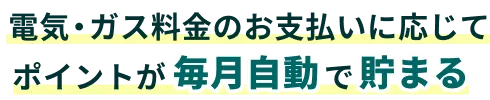 電気・ガス料金のお支払いに応じてポイントが毎月自動で貯まる